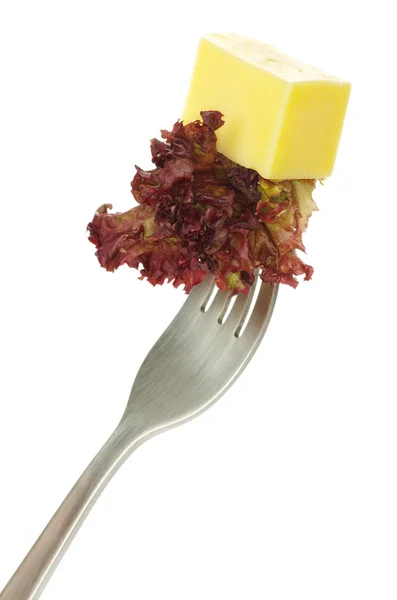 Cheese and salad — Stock Photo, Image