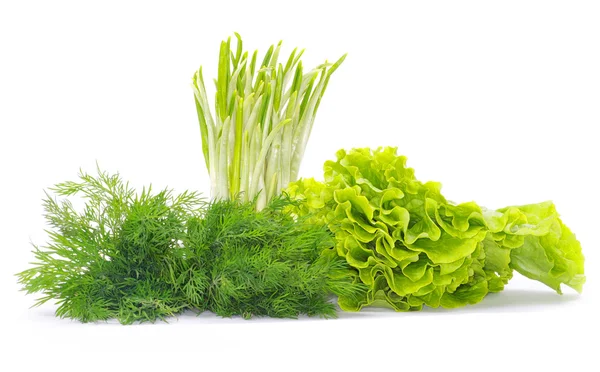 Herbs on white — Stock Photo, Image
