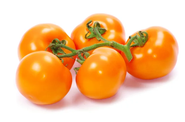 Tomato on a white — Stock Photo, Image