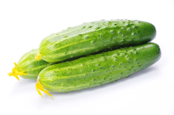 Cucumbers on the white — Stock Photo, Image