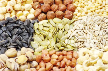 Seeds and nuts clipart