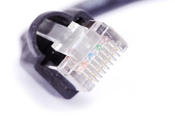 Network connection plug — Stock Photo, Image