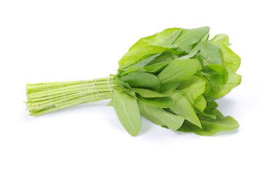 Fresh sorrel clipart