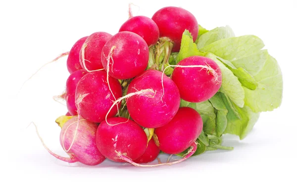 Radishes — Stock Photo, Image