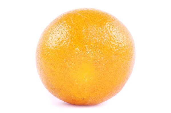 Grapefruit lizenzfreie Stockbilder
