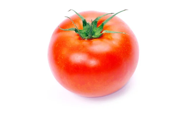 stock image Tomato on white