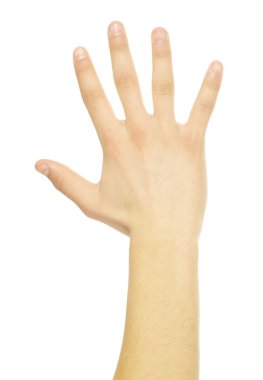 Hand on a white clipart