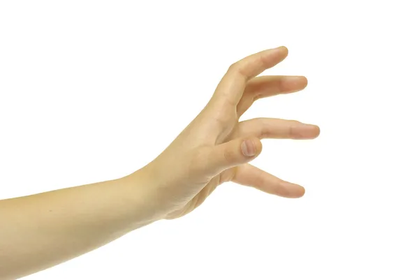 Human hand — Stock Photo, Image