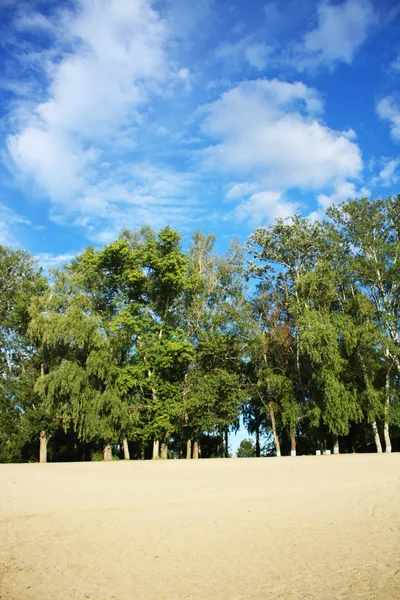 stock image Summer day