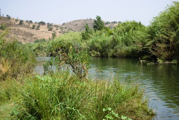 Landskap på floden guadiana, portugal — Stockfoto