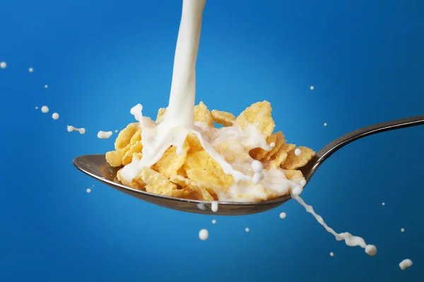 Latte spruzzato in un cucchiaio pieno di cornflakes — Foto Stock