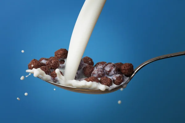 Молоко, брызгающееся в ложку, полную шоколадных шариков — стоковое фото