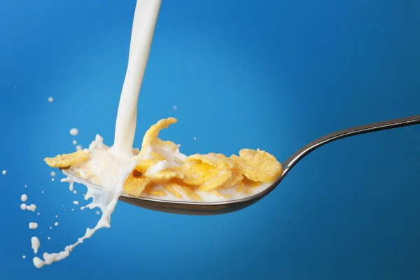Milk splashing into spoon with cornflakes — Stock Photo, Image