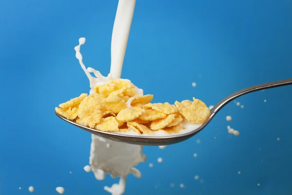 Milk splashing into spoon with cornflakes over blue background — Stock Photo, Image