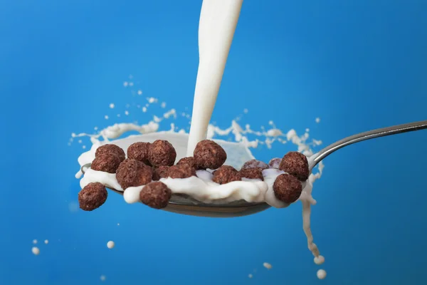 Milk splashing into spoon with chocolate cornballs over blue — Stock Photo, Image