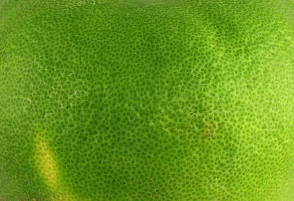 Грейпфрутовый кожух — стоковое фото