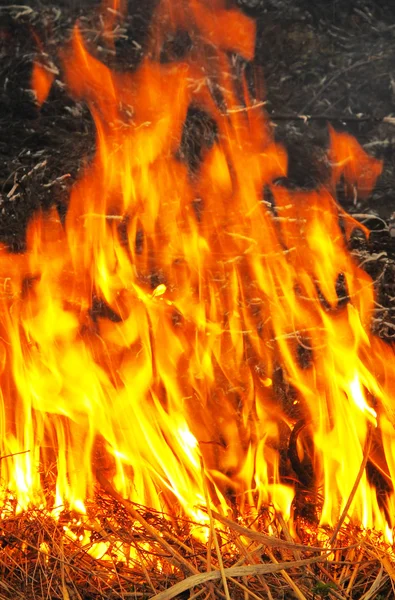 A kép a tűz — Stock Fotó