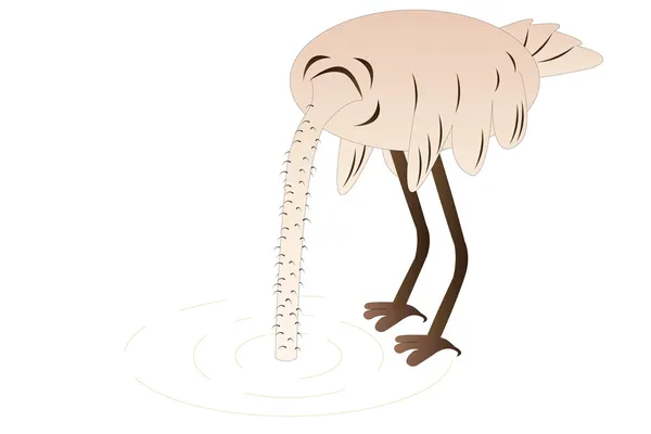 Vector Illustration Ostrich Hids Head Sand — Stock Vector