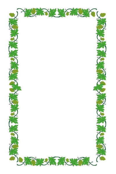 Vector illustration of floral frame from vine — Stock Vector