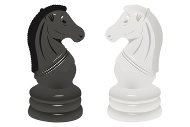 siyah ve beyaz atlar