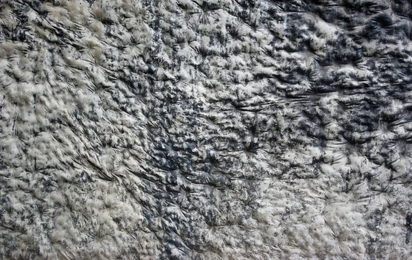 Muster aus schwarz-weiß gewellter Textur und Oberfläche — Stockfoto