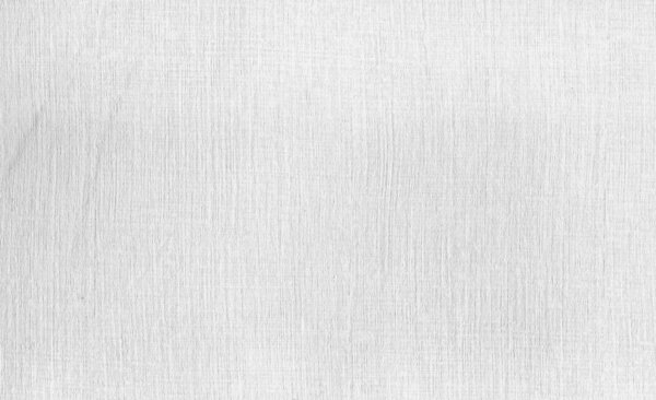 A White Canvas texture. Good for backgrounds.