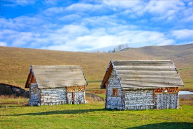 Birch yeşil çayır üzerinde iki ev