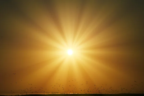 Солнце неба — стоковое фото