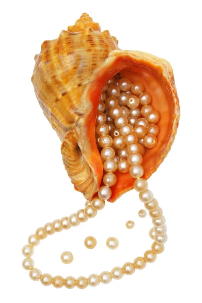 Pearls in a sea bowl. — Stockfoto