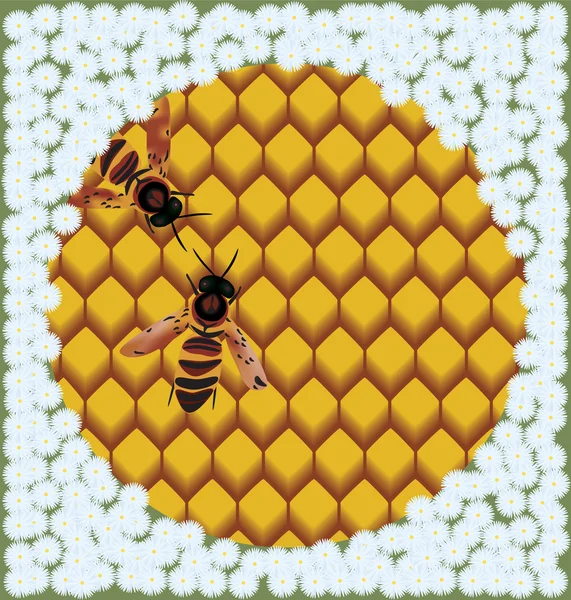 蜜蜂在蜂巢被鲜花包围了的光栅插图 — 图库照片