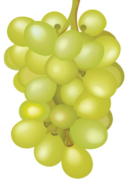 Bos Van Gele Druiven Een Witte Achtergrond Illustratie Raster — Stockfoto