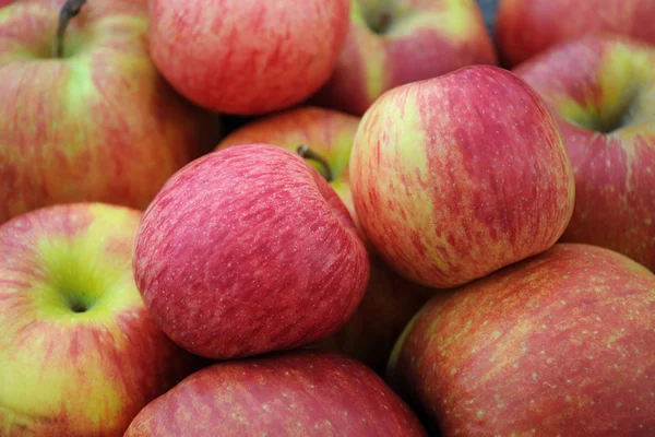 stock image Closeup Apples