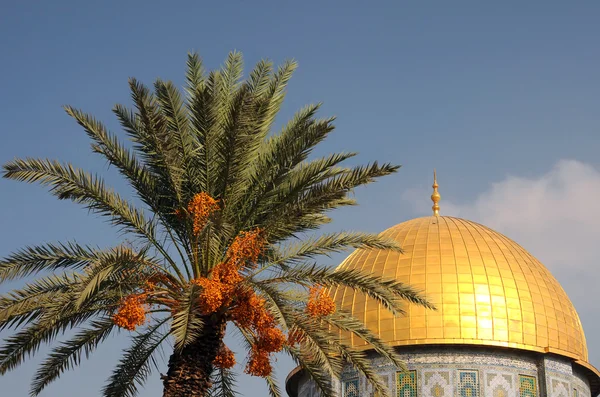 Dome of the Rock Mosque and Palm Tree — Stock Photo, Image
