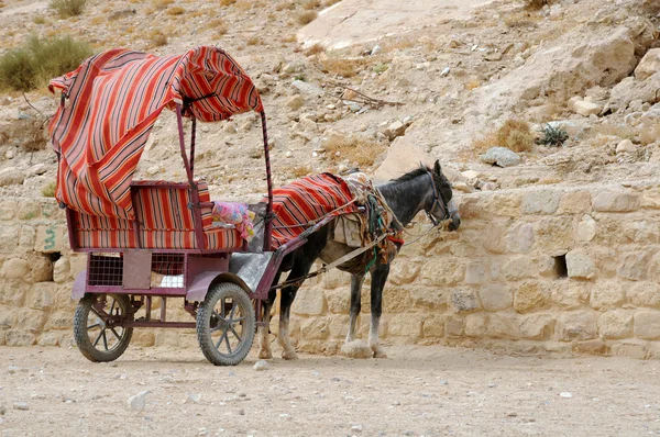 stock image Donkey and Cart at Petra