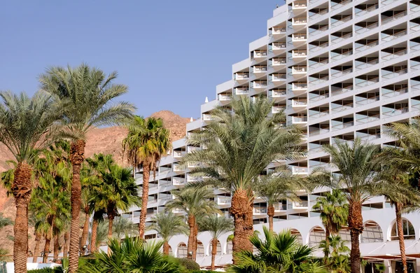 Palmträd Mot Bakgrund Vita Hotellet Och Bergen Eilat Israel — Stockfoto