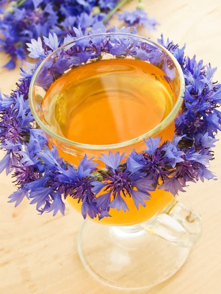 Cornflower tea — Stock Photo, Image