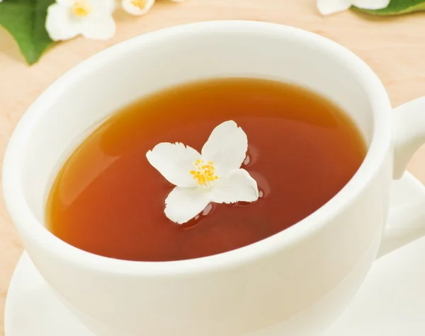 stock image Jasmine tea