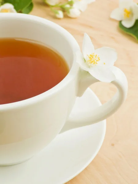 stock image Jasmine tea