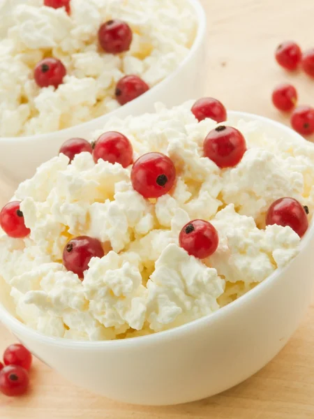 stock image Cottage cheese