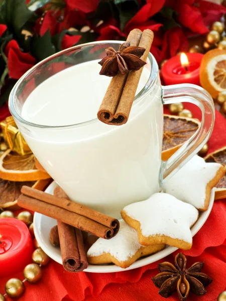 Snack for Santa — Stock Photo, Image
