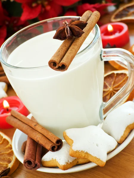 Snack for Santa — Stock Photo, Image