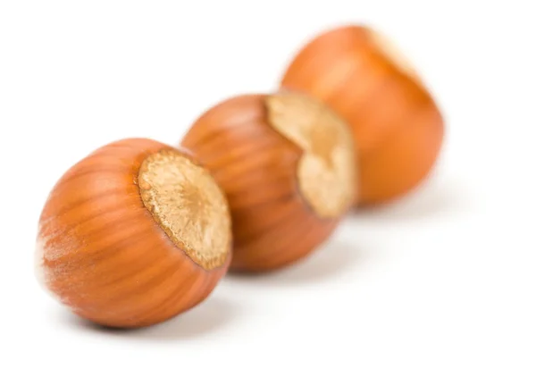 Haldy lískových ořechů — Stock fotografie