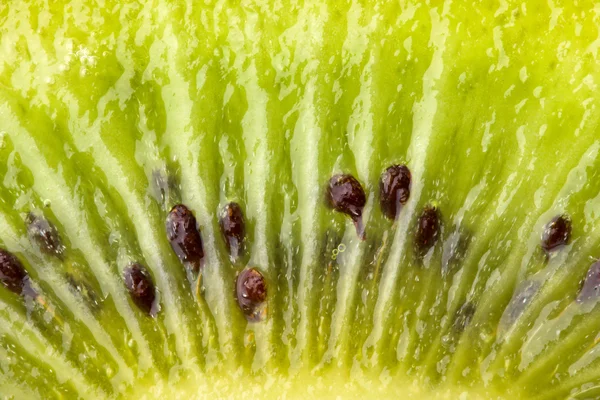 Zamknięcie na owoc kiwi — Zdjęcie stockowe