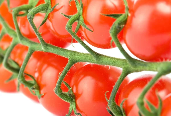 Agrupamento de tomates cereja — Fotografia de Stock
