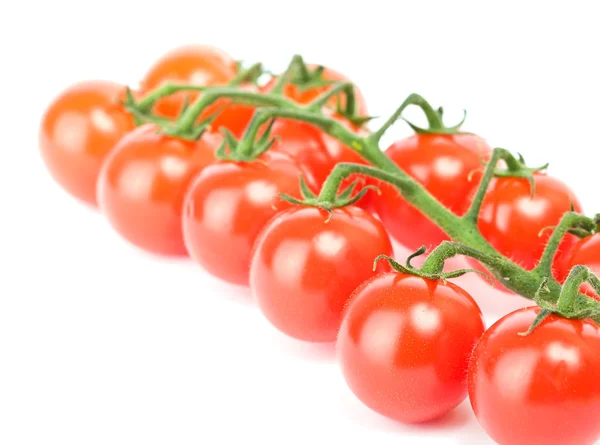 Agrupamento de tomates cereja — Fotografia de Stock