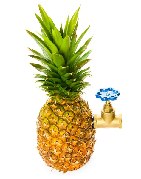 Ananas Met Waterkraan — Stockfoto