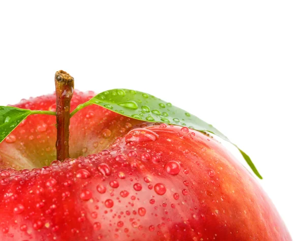 Manzana roja madura sobre fondo blanco — Foto de Stock