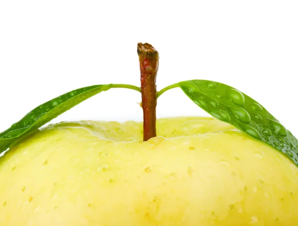 Manzana amarilla fresca con hoja. Aislado sobre fondo blanco . — Foto de Stock