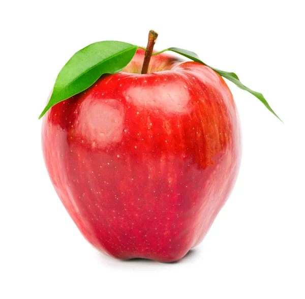 Manzana roja madura sobre fondo blanco — Foto de Stock
