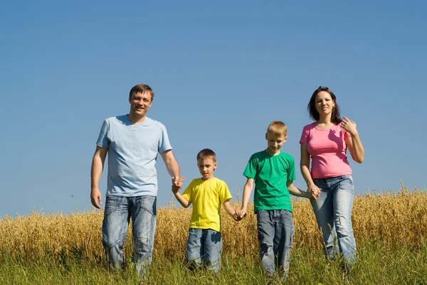 Verenigde familie walkin in het veld — Stockfoto